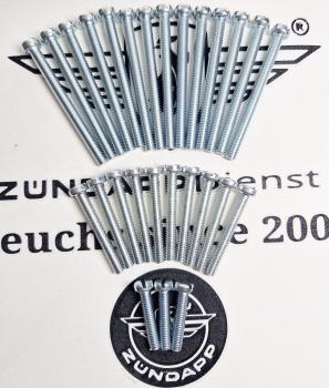 Zündapp Motorschrauben komplett Set für alle 50 & 80 ccm Motor 314 & 317 - 27 teilig !